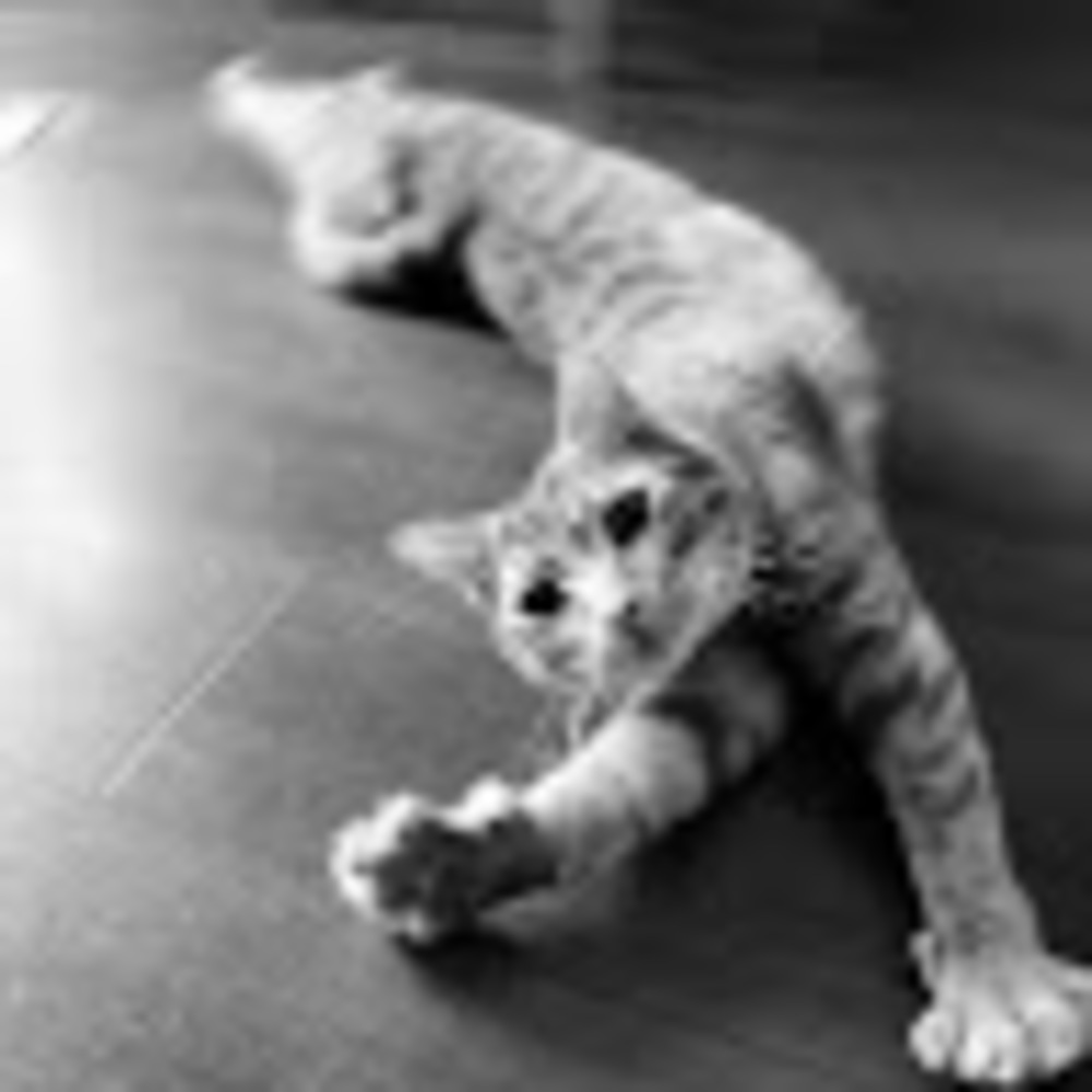 Meet your Posher, Beky